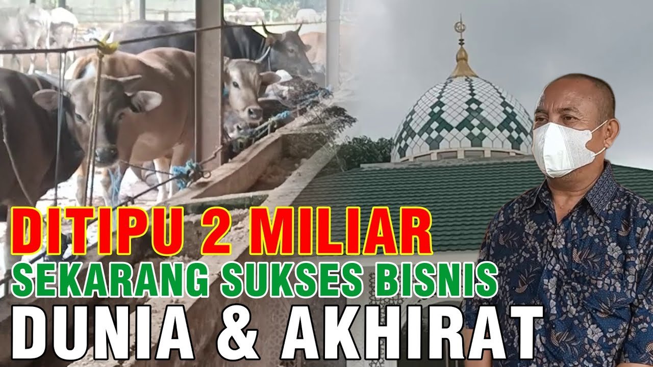 Diawal Ditipu 2 Miliar Sekarang Sukses Bisnis Sapi Dunia Akhirat.jpg